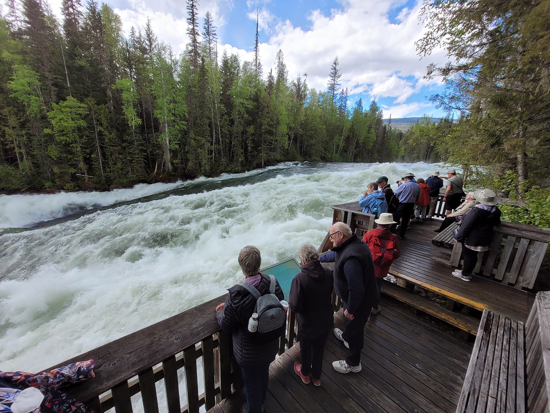 Bailey's Chute mit springenden Lachsen